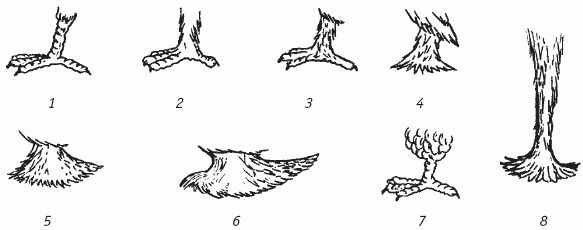 Голуби - i_002.png