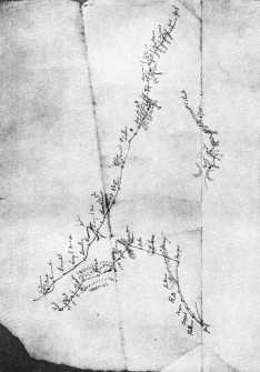 Собрание сочинений. Том 5 - _12.jpg