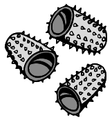 Профессия парикмахер. Учебное пособие - i_016.png