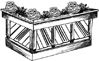 Энциклопедия комнатных растений - i_002.png