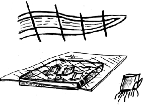 Энциклопедия комнатных растений - i_027.png