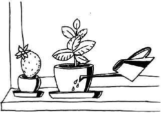 Энциклопедия комнатных растений - i_029.png