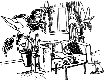 Энциклопедия комнатных растений - i_035.png