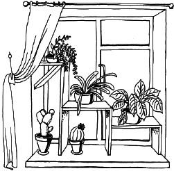 Энциклопедия комнатных растений - i_042.png