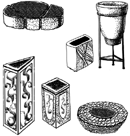 Энциклопедия комнатных растений - i_058.png