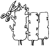 Энциклопедия комнатных растений - i_066.png