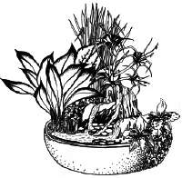 Энциклопедия комнатных растений - i_068.png