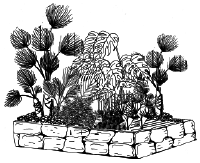 Энциклопедия комнатных растений - i_069.png