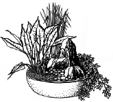 Энциклопедия комнатных растений - i_070.png