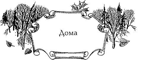 Огненное крыло - i_018.png