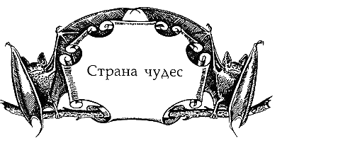 Солнечное крыло - i_004.png