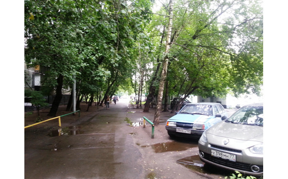 Серая ветка - image11_5641a29e9a0407836cdc96f5_jpg.jpeg