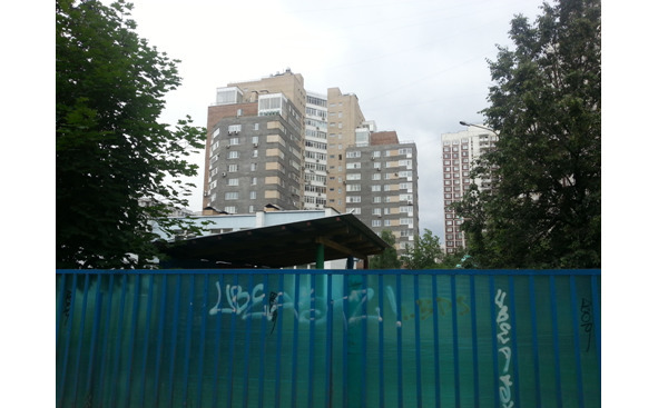 Серая ветка - image12_5641a2999a0407836cdc96f2_jpg.jpeg