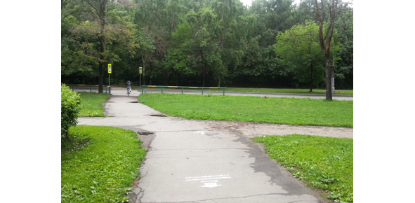 Серая ветка - image15_5641a28a9a0407836cdc96e9_jpg.jpeg