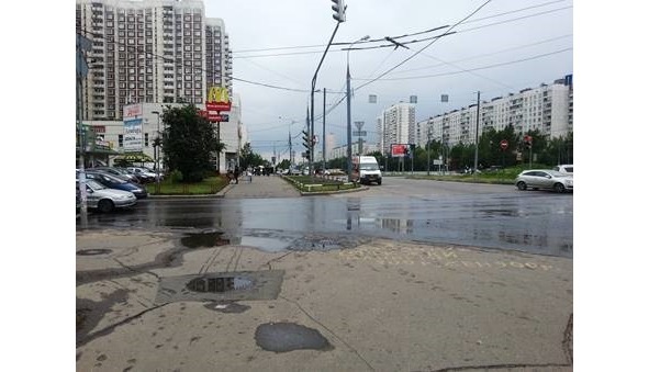 Серая ветка - image1_565be6599045aaaf0bdd221a_jpg.jpeg