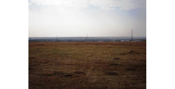 Серая ветка - image3_565be8ea9045aaaf0bdd233f_jpg.jpeg