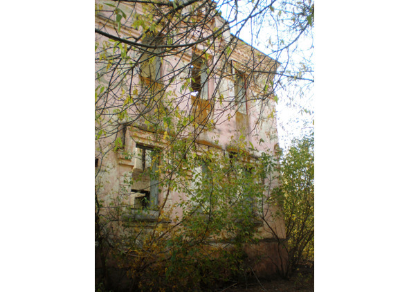 Серая ветка - image7_5641a2a69a0407836cdc9701_jpg.jpeg