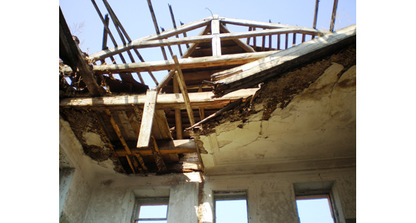 Серая ветка - image8_5641a2a49a0407836cdc96fe_jpg.jpeg