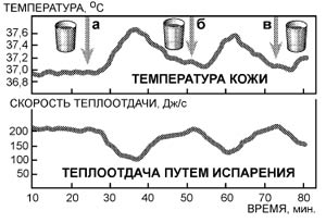 Моя система здоровья - img_2.jpg