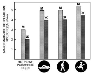 Моя система здоровья - img_6.jpg