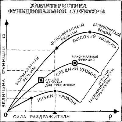 Раздумья о здоровье - _3.jpg