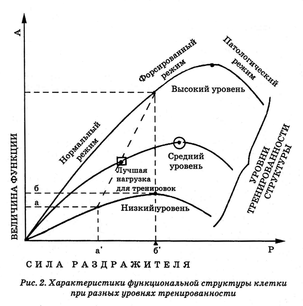 Энциклопедия Амосова. Алгоритм здоровья - i_003.png
