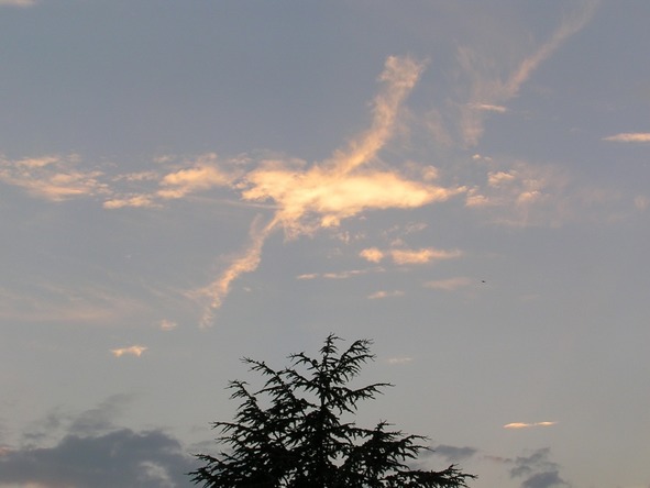 Картинки параллельного мира - image1_569b6796271eeb700492850f_jpg.jpeg