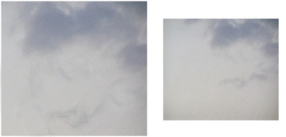 Картинки параллельного мира - image3_56a37353968e7b4f36625d85_jpg.jpeg