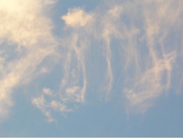 Картинки параллельного мира - image5_569b678d271eeb7004928500_jpg.jpeg