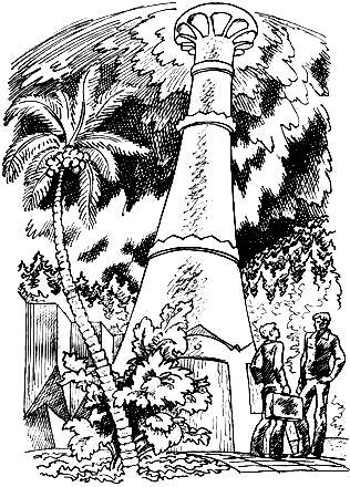 Разноцветные континенты (С иллюстрациями) - pic_15.jpg