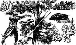 Эхо Непрядвы - i_005.jpg