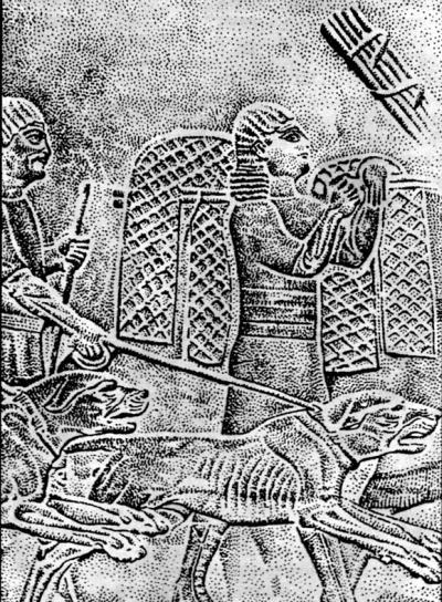 Гончие - _005.jpg