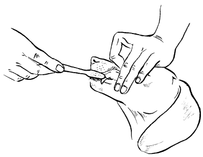 Гончие - _037.png