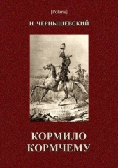 Кормило кормчему - автор Чернышевский Николай Гаврилович 