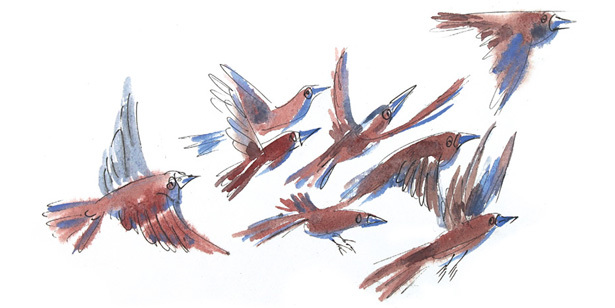 Ворон Клара и яблочный год - i_003.jpg