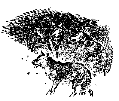 Кратер Эршота - pic_14.png