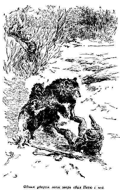 Кратер Эршота - pic_29.png