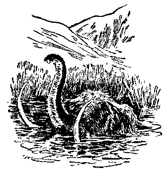 Кратер Эршота - pic_35.png