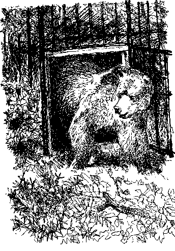 Песни чёрного дрозда - i_009.png