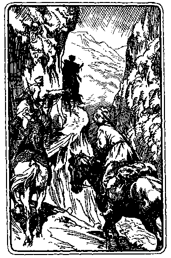 По следам дикого зубра - any2fbimgloader5.png