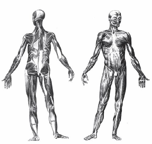 Тайные знания коммерческих иллюстраторов - i_037.jpg