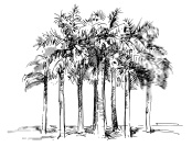 Большая книга афоризмов и цитат - i_055.png