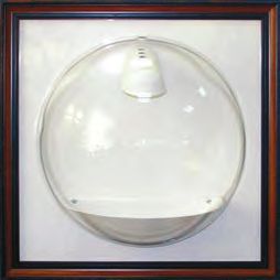 Бромелиевые - i_036.jpg