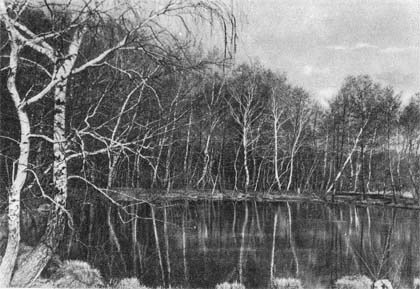 Природа донского края - i_004.jpg