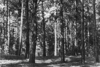 Природа донского края - i_008.jpg