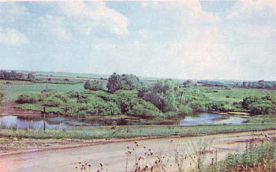 Природа донского края - i_009.jpg