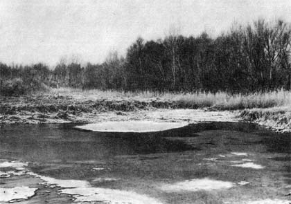 Природа донского края - i_011.jpg