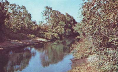 Природа донского края - i_015.jpg