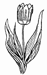 Природа донского края - i_064.png