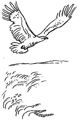 Природа донского края - i_066.png